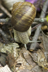 Similar image 1816809