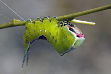 Similar image 1816810