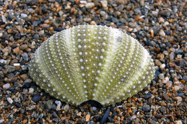 Similar image 1817164