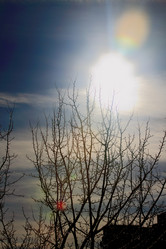 Similar image 1817357