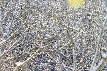 Similar image 1817360