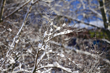 Similar image 1817382