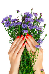 Similar image 1817580