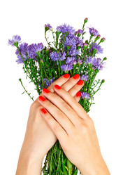 Similar image 1817616