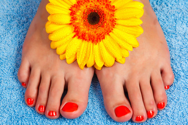 Similar image 1817622