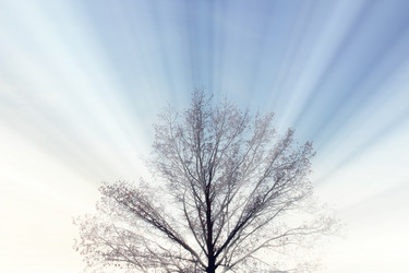 Similar image 1818128