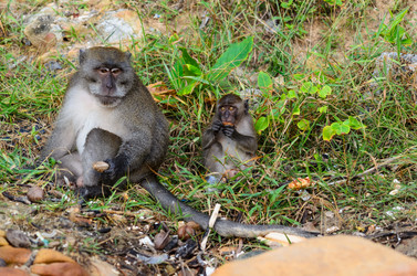 Similar image 1818216