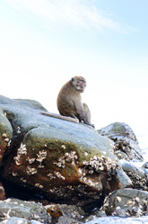 Similar image 1818232