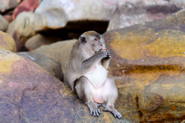 Similar image 1818241