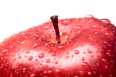 Similar image 1818266