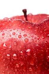 Similar image 1818268