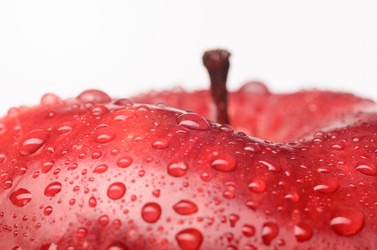 Similar image 1818274