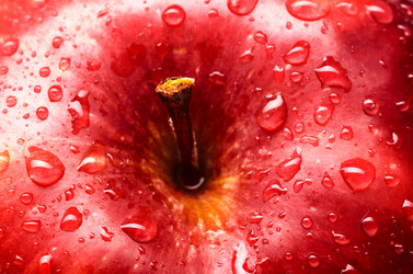 Similar image 1818288