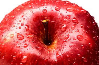 Similar image 1818315