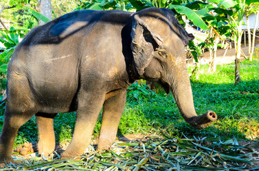 Similar image 1818318