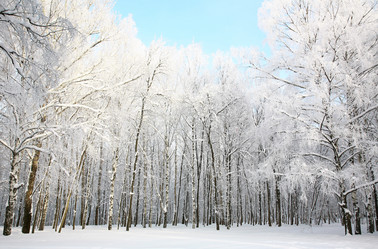 Similar image 1820046