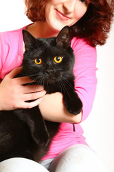 Similar image 1820190