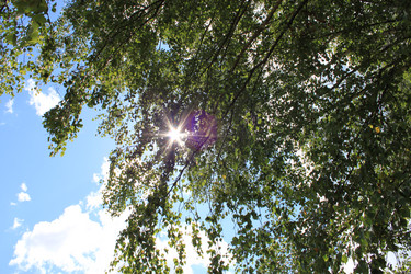 Similar image 1832490