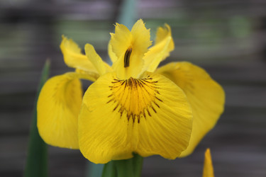 Similar image 1832492