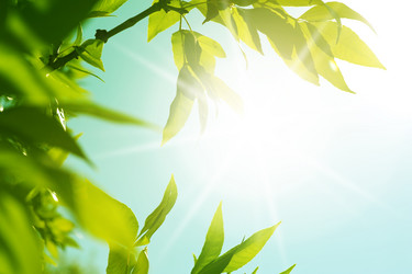 Similar image 1832634