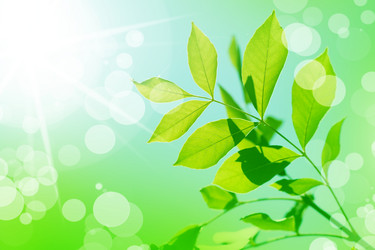 Similar image 1832637