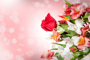 Similar image 1832643