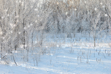 Similar image 1832735