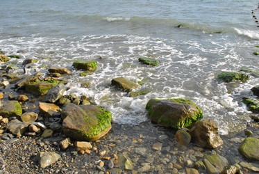 Similar image 1832737