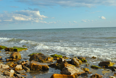 Similar image 1832738