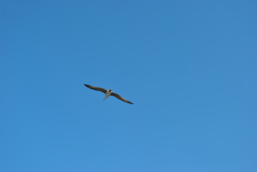 Similar image 1832739