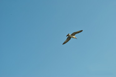 Similar image 1832741