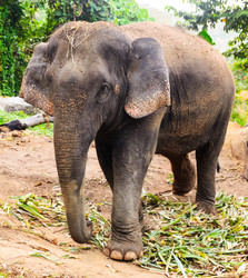 Similar image 1832770