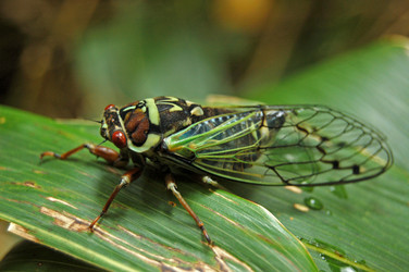 Similar image 1832853