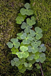 Similar image 1832854