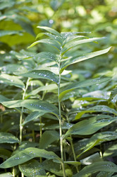 Similar image 1832858