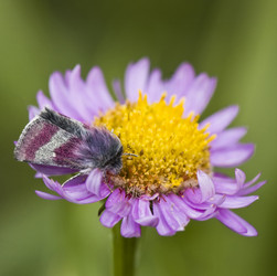 Similar image 1832860