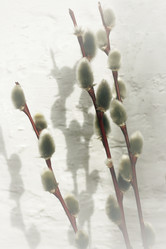 Similar image 1832878