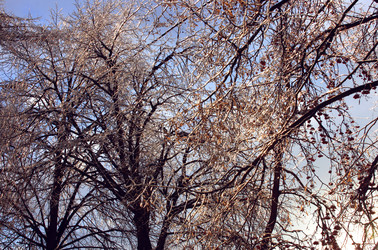 Similar image 1832882