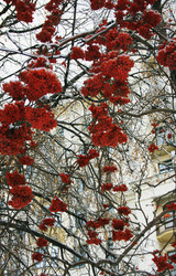 Similar image 1832883