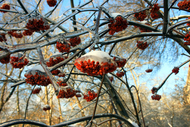 Similar image 1832884