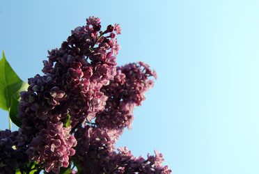 Similar image 1832950