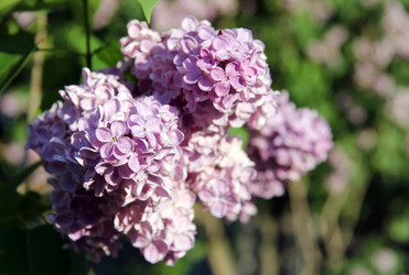 Similar image 1832977