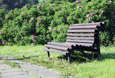 Similar image 1832979