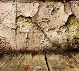 Similar image 1833041