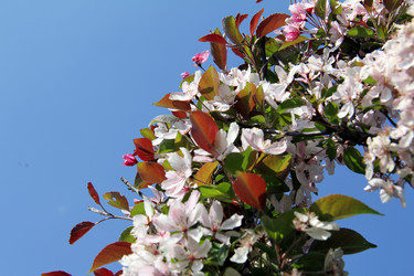 Similar image 1833126