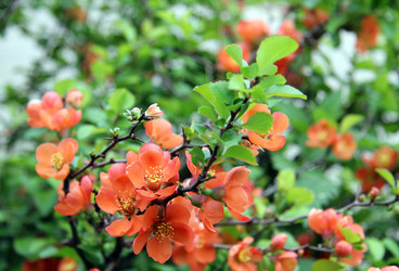 Similar image 1833127