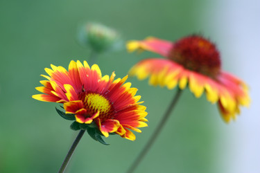 Similar image 1833129