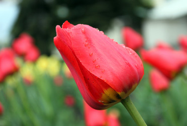 Similar image 1833130