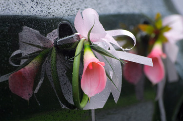 Similar image 1833139