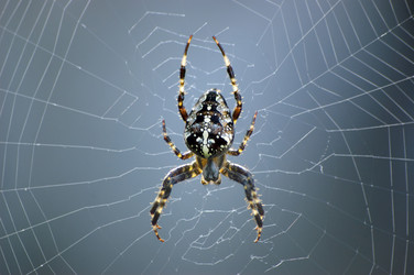 Similar image 1833188